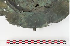 Foto von Bronzebreitrandfußschale (NHMW-PRAE-025740)